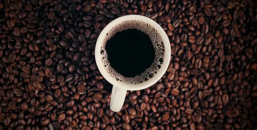 Northfold film: a cup of black coffee on roasted beans