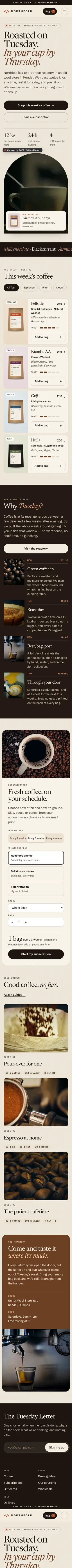 Full-length Northfold concept homepage on a phone, with products shown as compact horizontal cards.